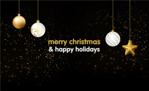 Merry Christmas from Fingo